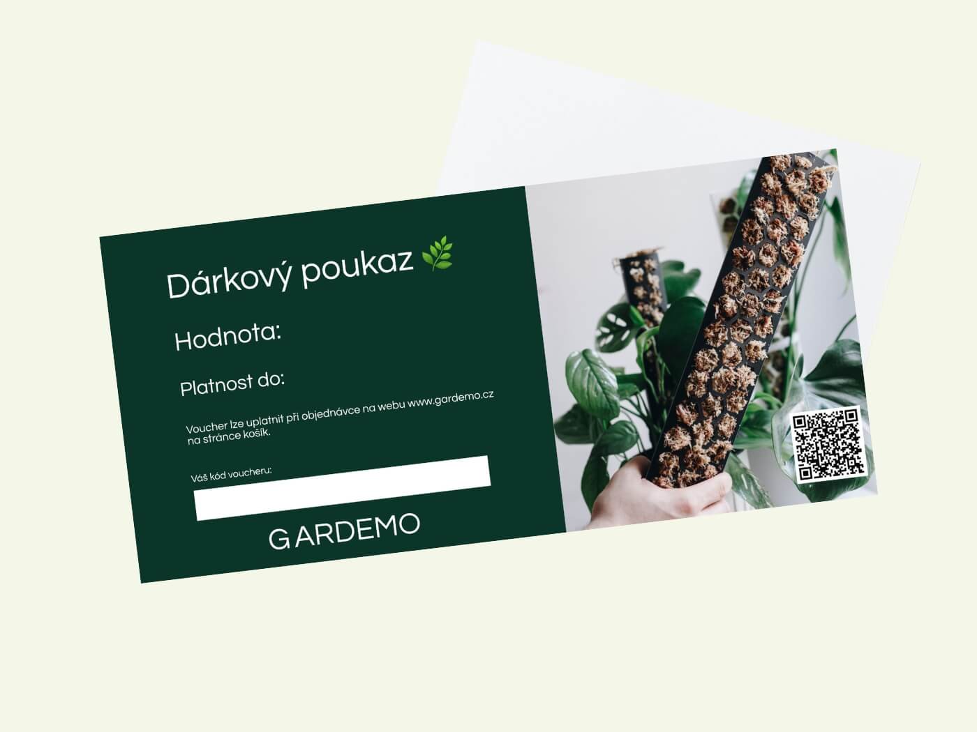 🎁 Geschenkgutschein 1
