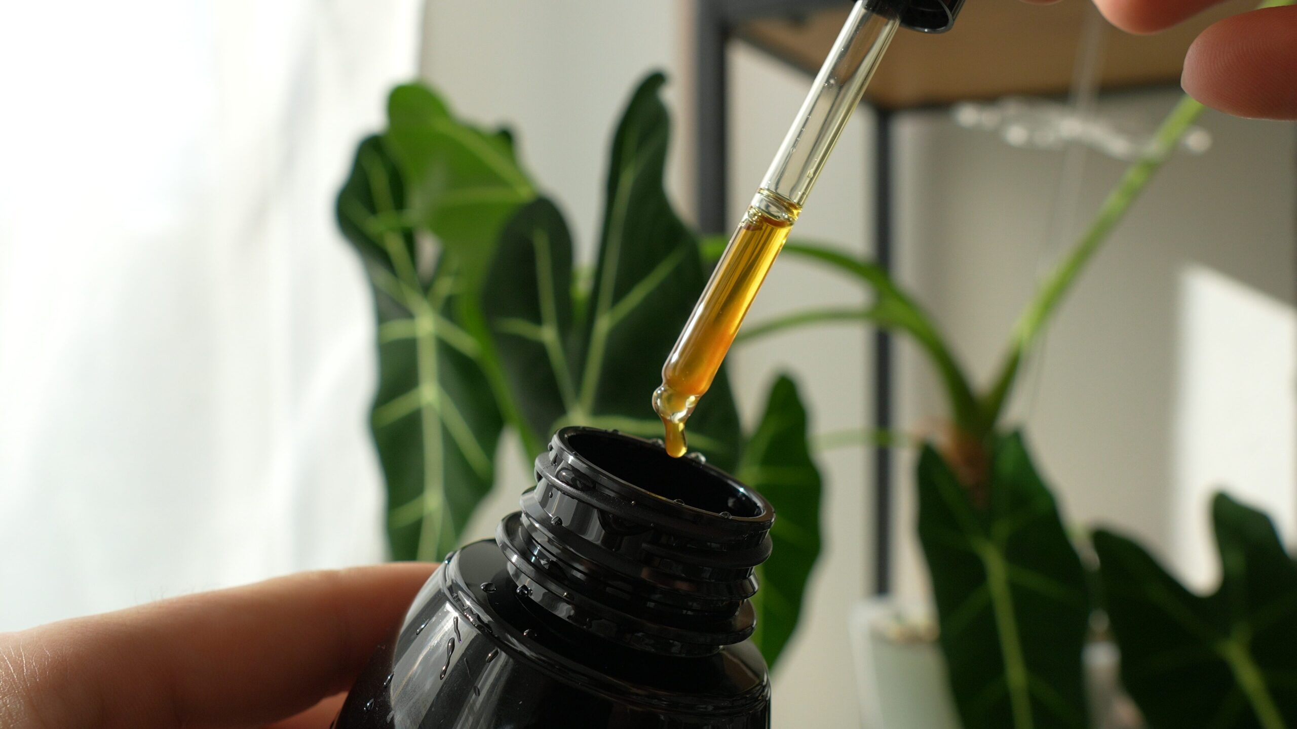 Neemöl (50 ml) – natürliches Insektizid 4