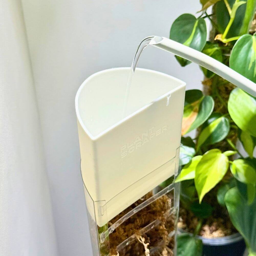 Abtropfschale für Sphagnum-Moosstäbe mit Frontöffnung 3