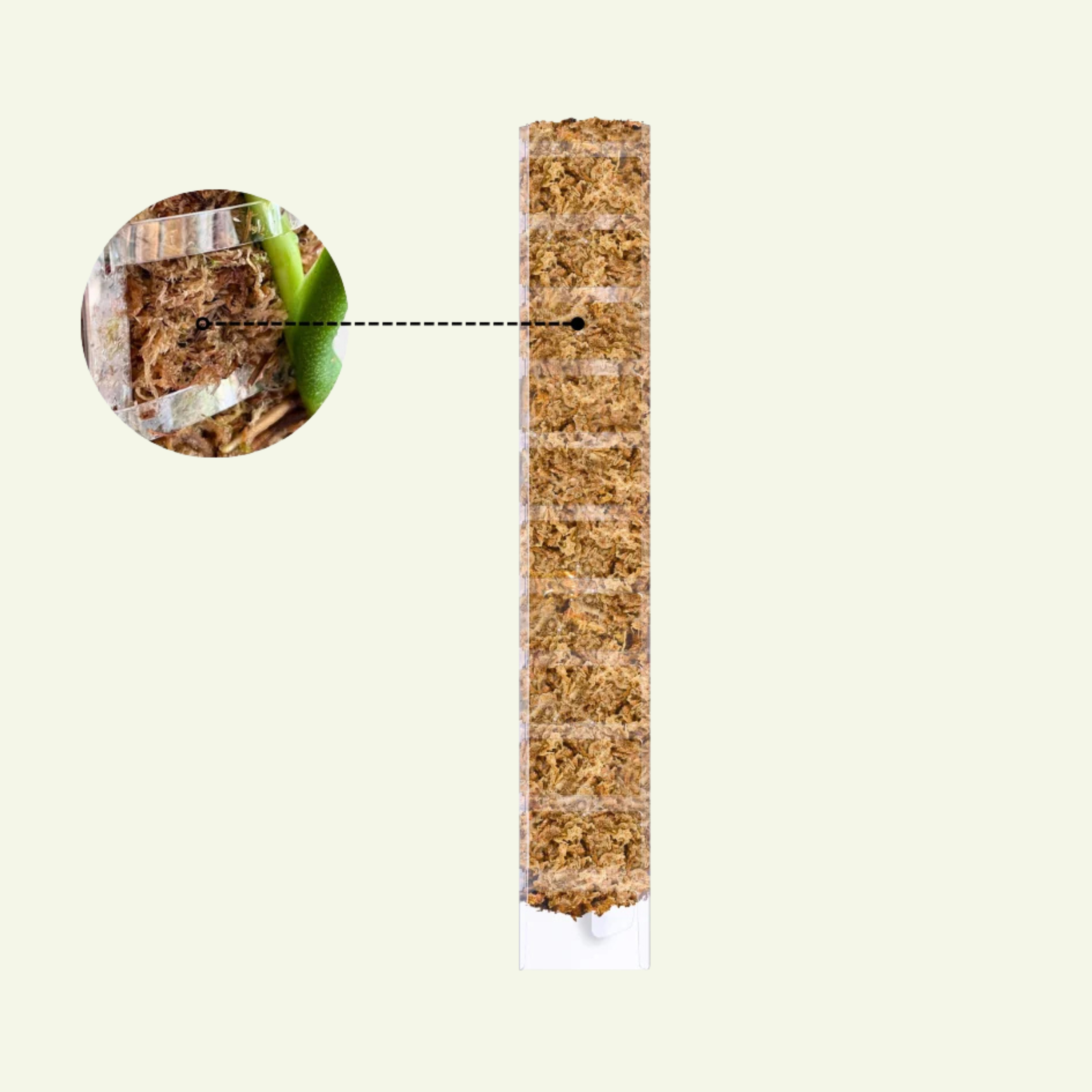 Sphagnum-Moosstab mit Frontöffnung