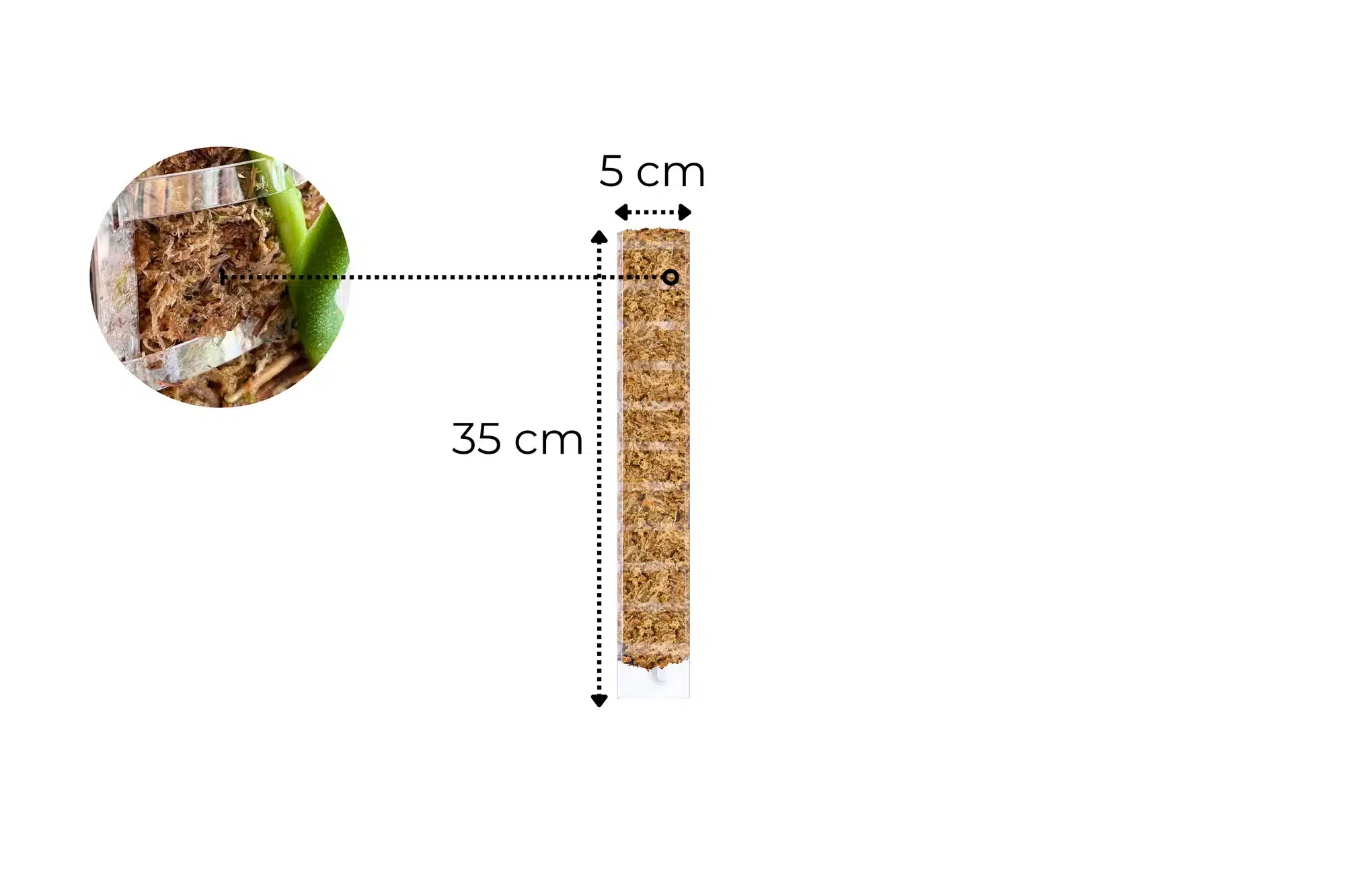 Sphagnum-Moosstab mit Frontöffnung 3