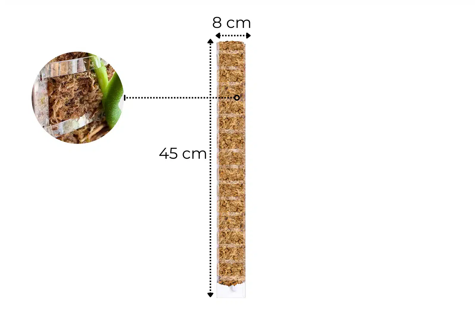 Sphagnum-Moosstab mit Frontöffnung 4