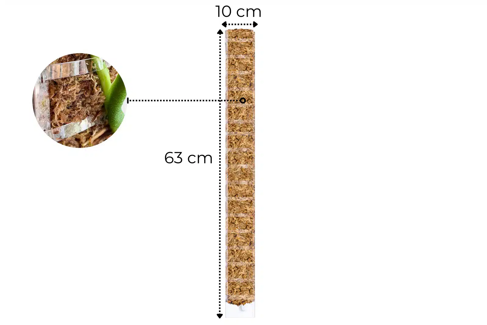 Sphagnum-Moosstab mit Frontöffnung 5