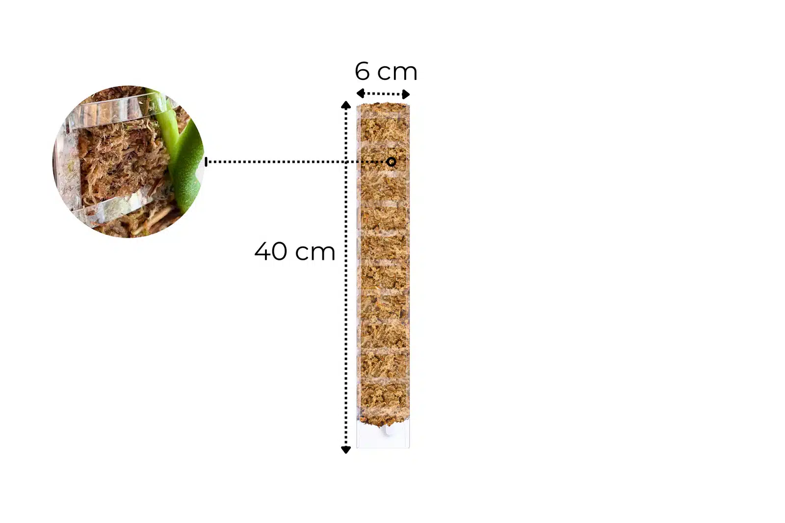Sphagnum-Moosstab mit Frontöffnung 2