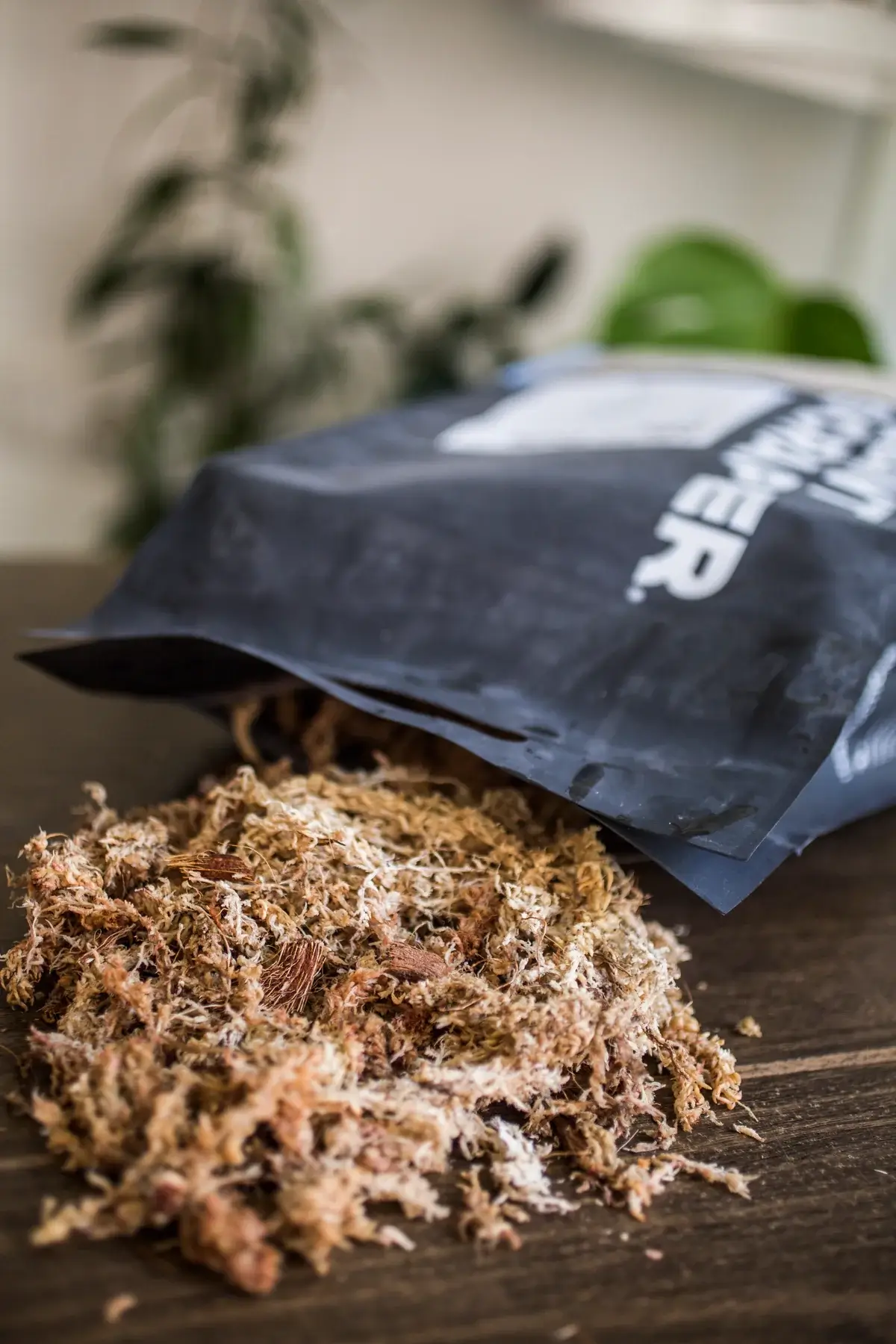 Substrat für Sphagnum-Moosstäbe 2
