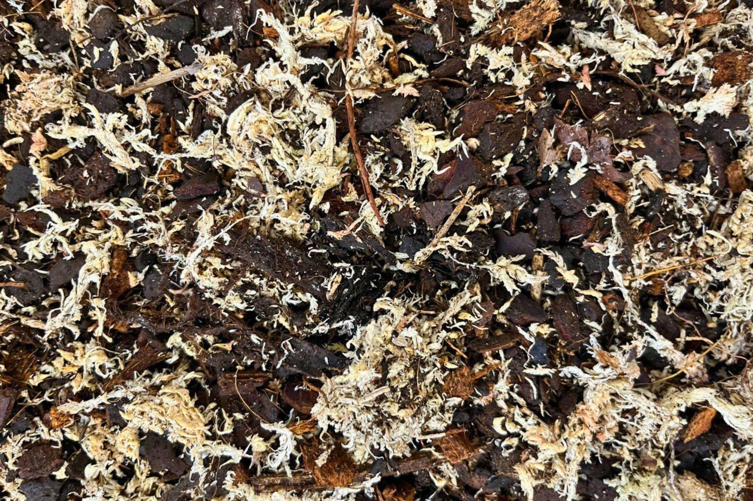 Substrat für Sphagnum-Moosstäbe 5